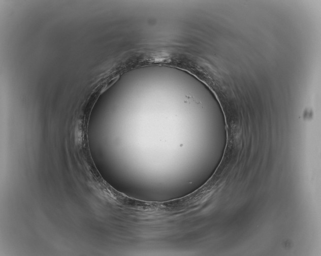 X0000096191442200802011355