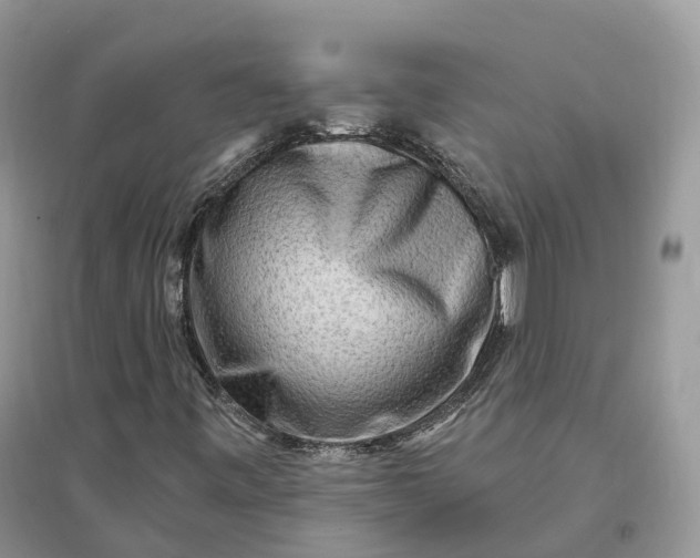 X0000096191443200802011355