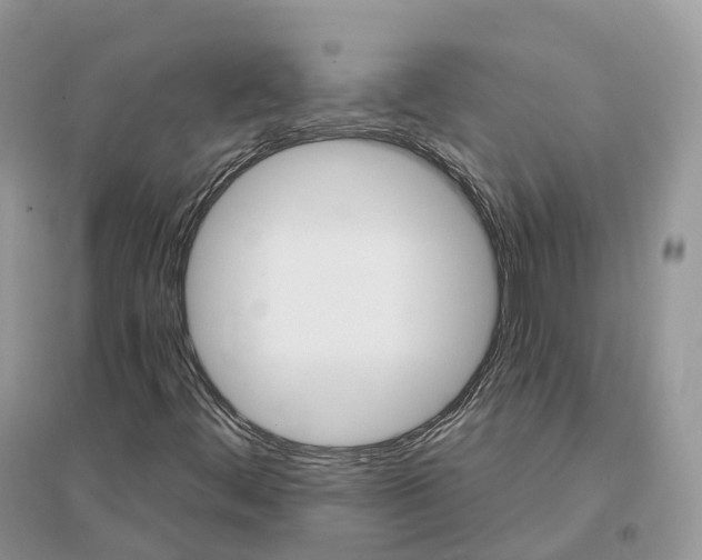 X0000096191444200802011355