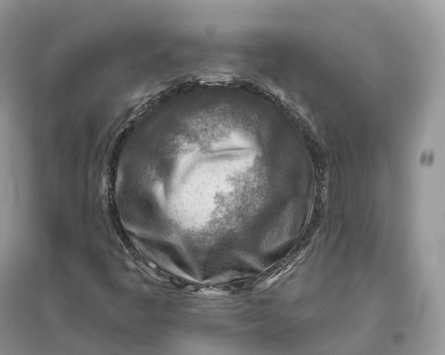 X0000096191445200802011355