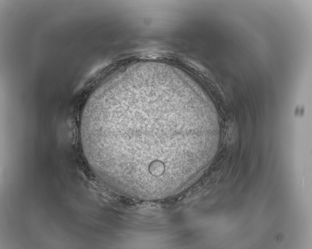 X0000096191446200802011355