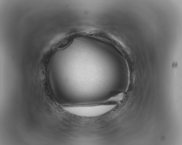 X0000096191447200802011355