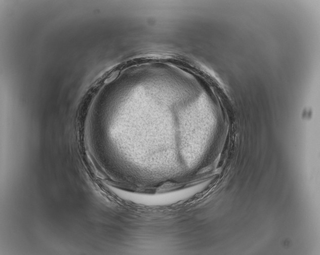 X0000096191448200802011355