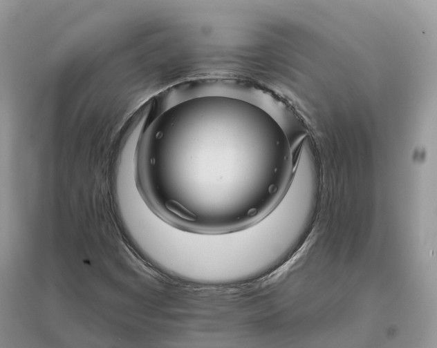 X0000096191449200802011355