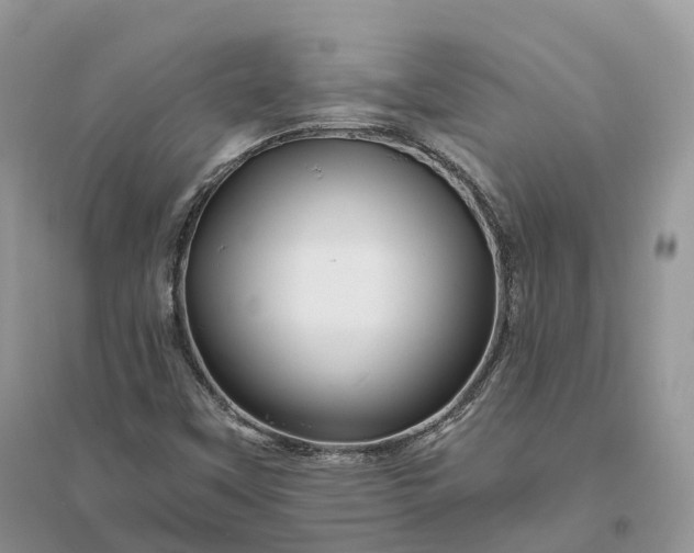 X0000096191451200802011355
