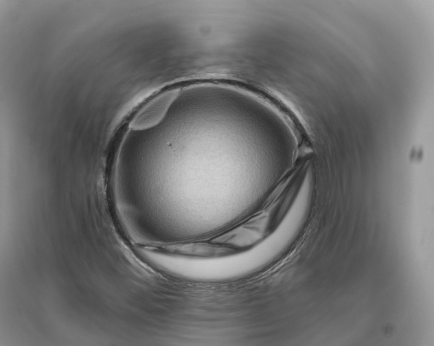 X0000096191452200802011355