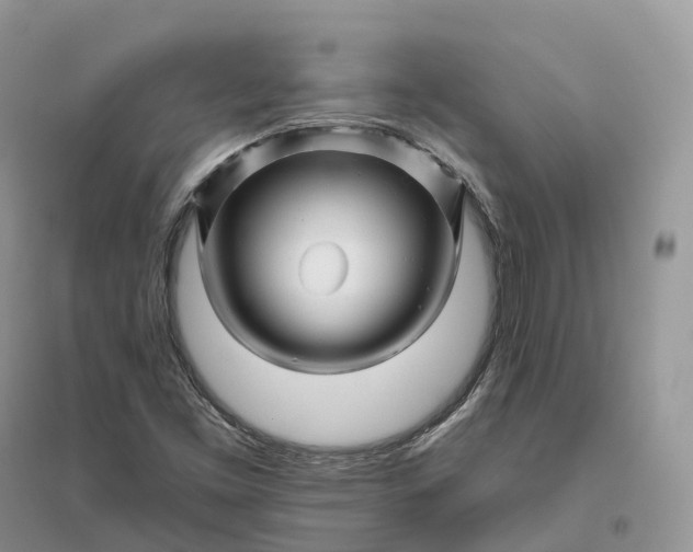 X0000096191453200802011355