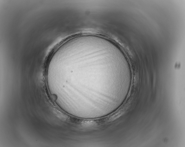 X0000096191454200802011355