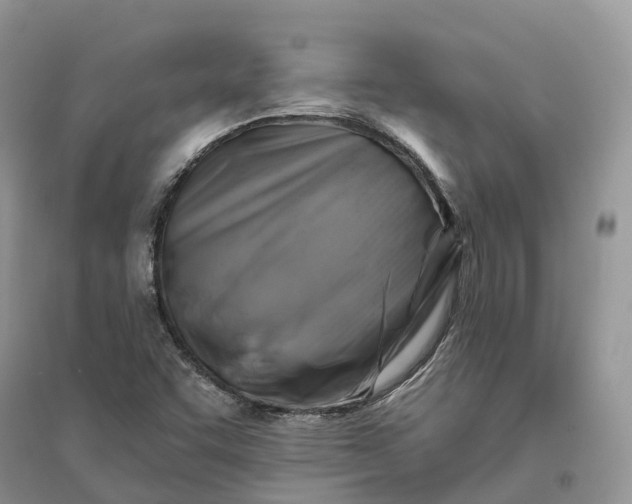 X0000096191455200802011355