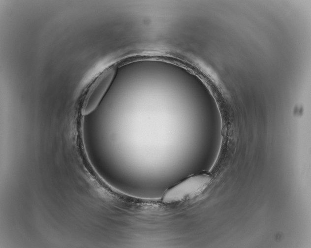 X0000096191456200802011355
