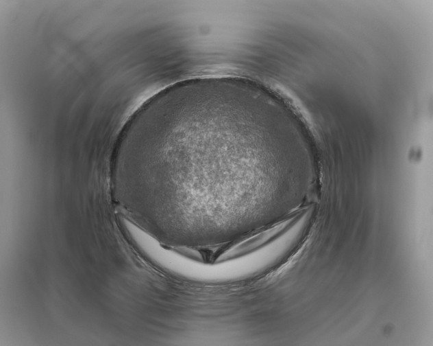 X0000096191457200802011355