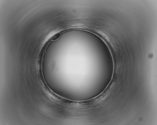 X0000096191458200802011355