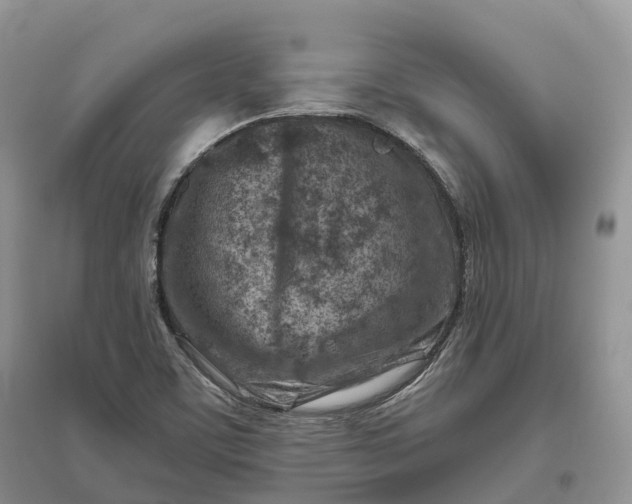 X0000096191459200802011355