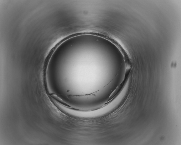 X0000096191460200802011355