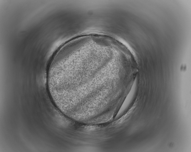 X0000096191461200802011355