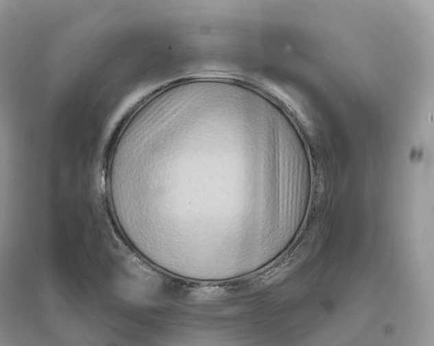 X0000096191462200802011355