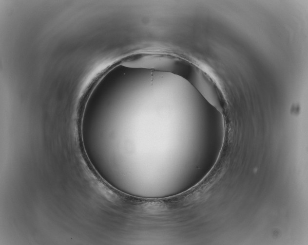 X0000096191464200802011355