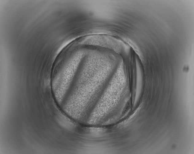 X0000096191465200802011355