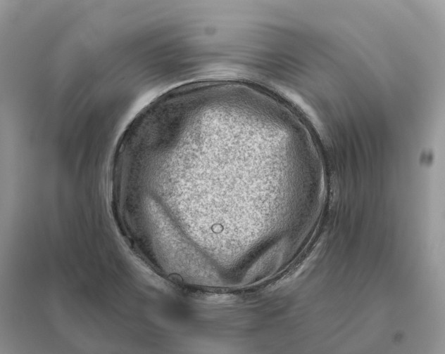X0000096191467200802011355