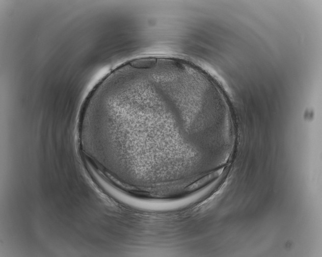 X0000096191469200802011355