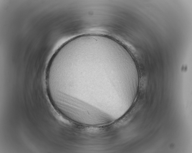 X0000096191470200802011355