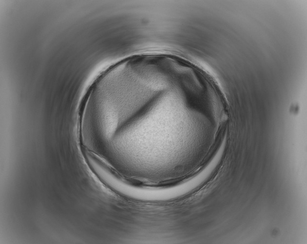 X0000096191472200802011355