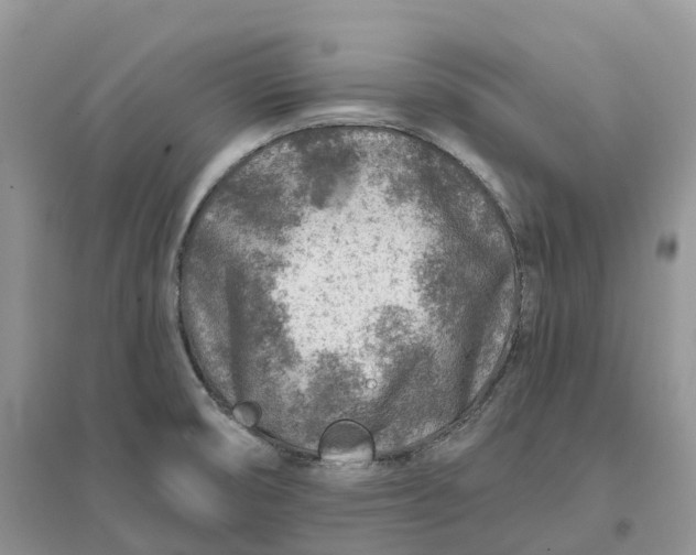 X0000096191474200802011355
