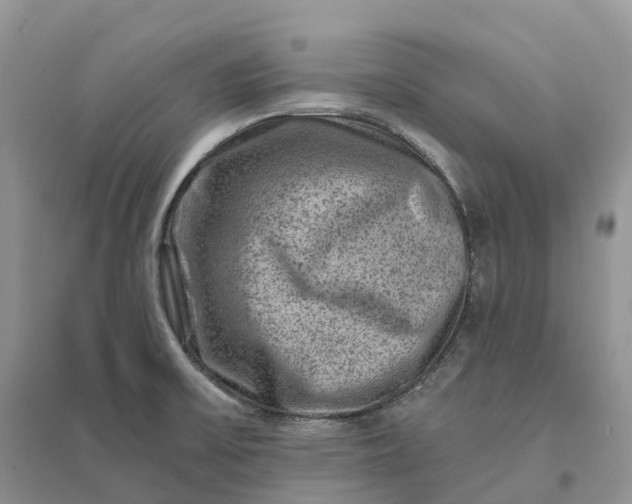 X0000096191475200802011355