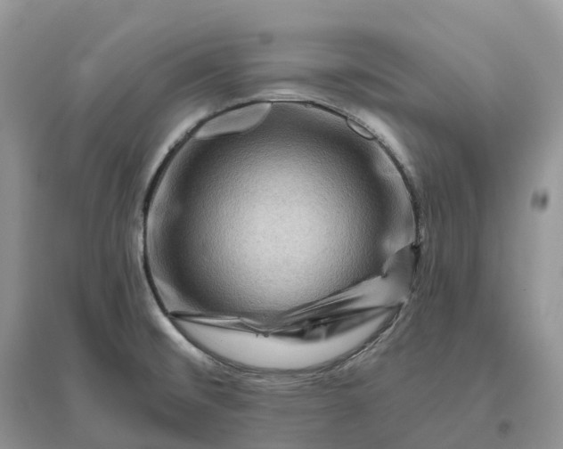X0000096191476200802011355