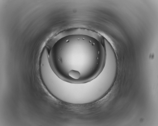 X0000096191477200802011355
