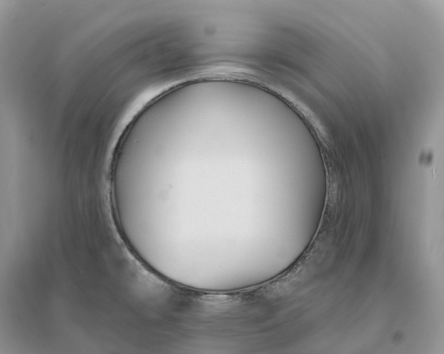 X0000096191478200802011355