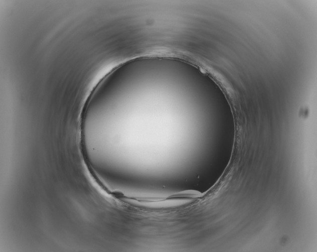 X0000096191479200802011355