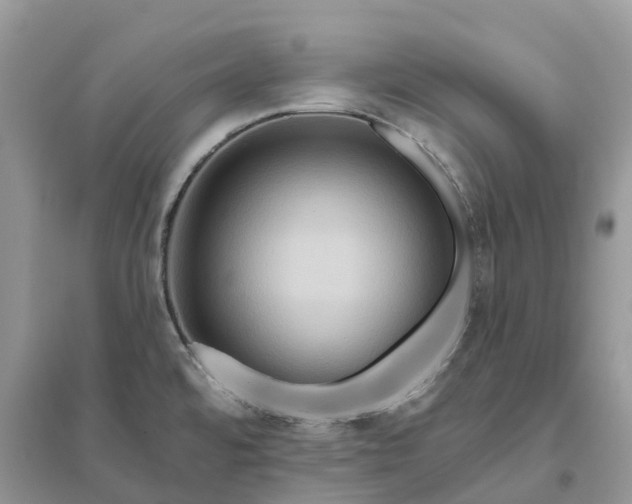 X0000096191480200802011355