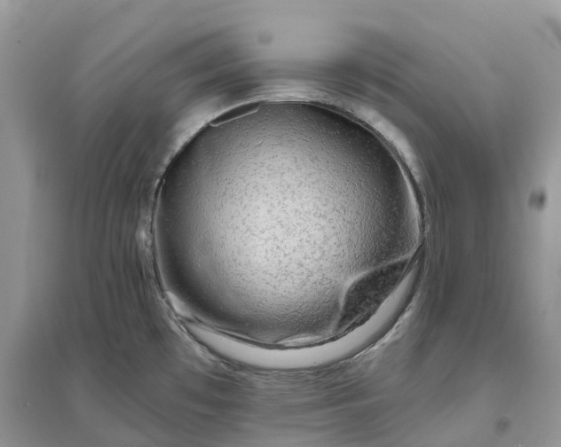 X0000096191481200802011355