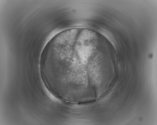 X0000096191482200802011355