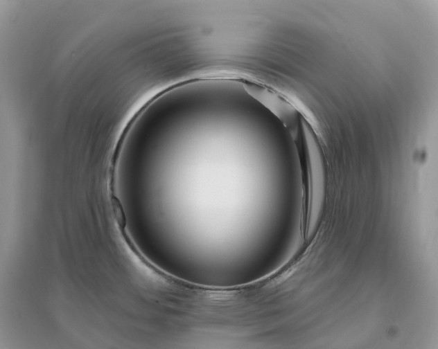 X0000096191484200802011355