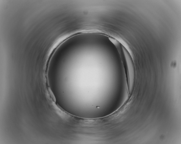 X0000096191485200802011355