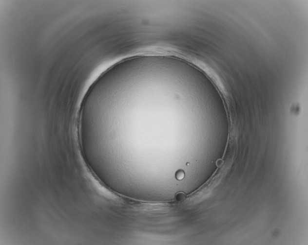 X0000096191486200802011355