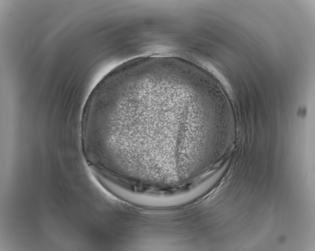 X0000096191487200802011355