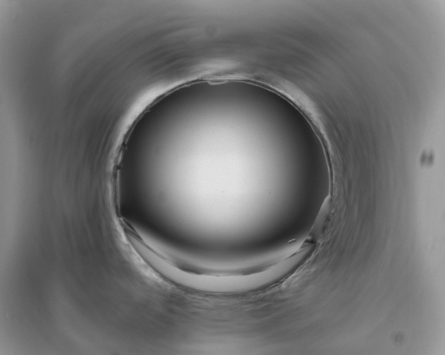 X0000096191488200802011355
