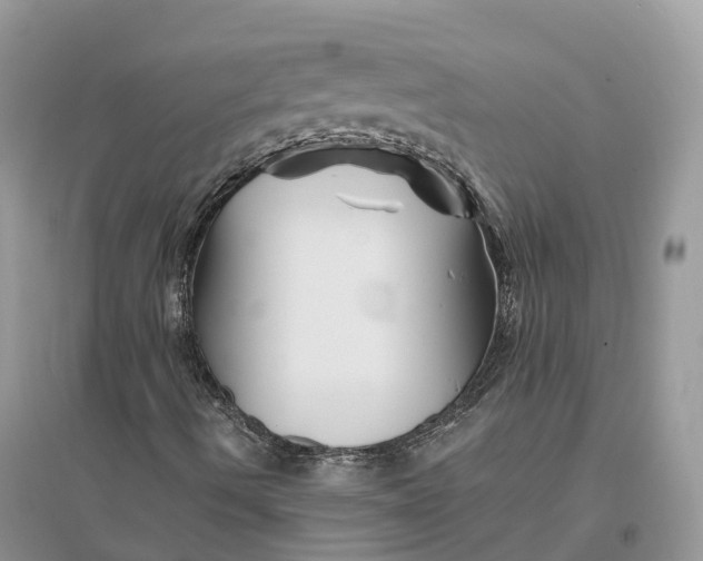 X0000096191490200802011354