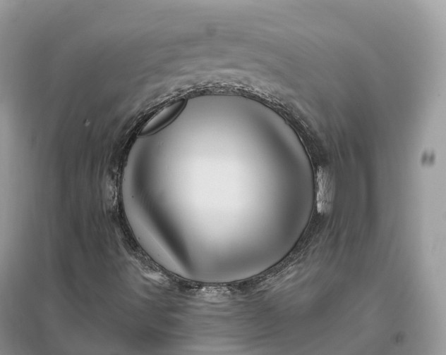 X0000096191491200802011354