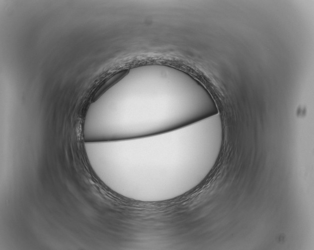 X0000096191492200802011354