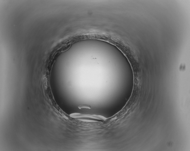 X0000096191493200802011354
