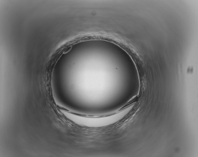 X0000096191494200802011354