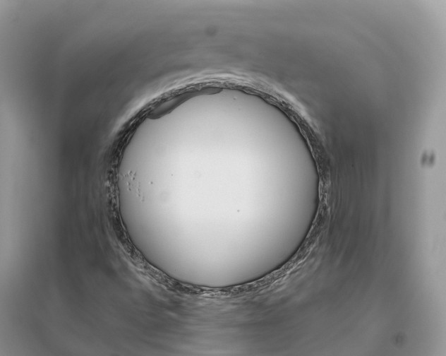 X0000096191496200802011354