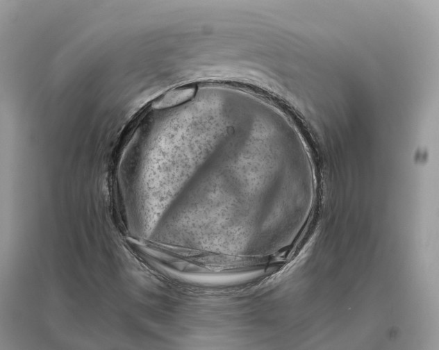 X0000096191497200802011354