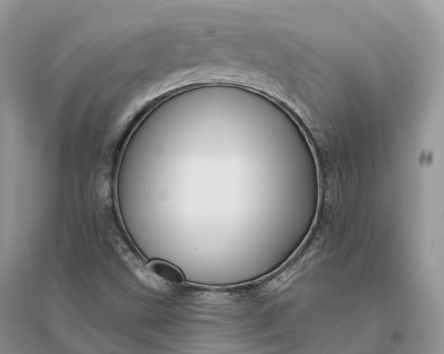 X0000096191499200802011354