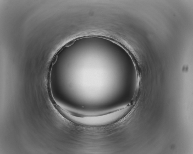 X0000096191500200802011354
