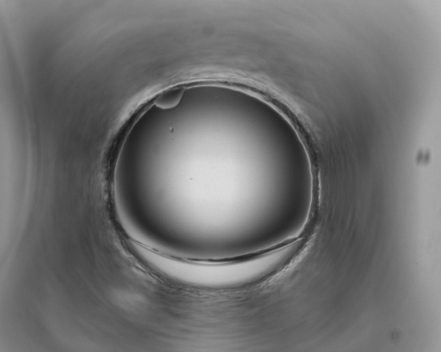 X0000096191501200802011354